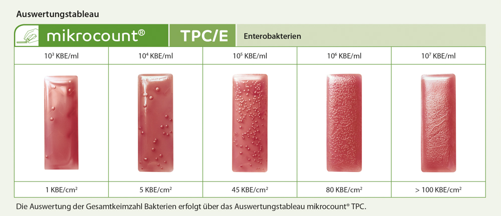 mikrocount TPC-E Auswertungstableau Enterobakterien