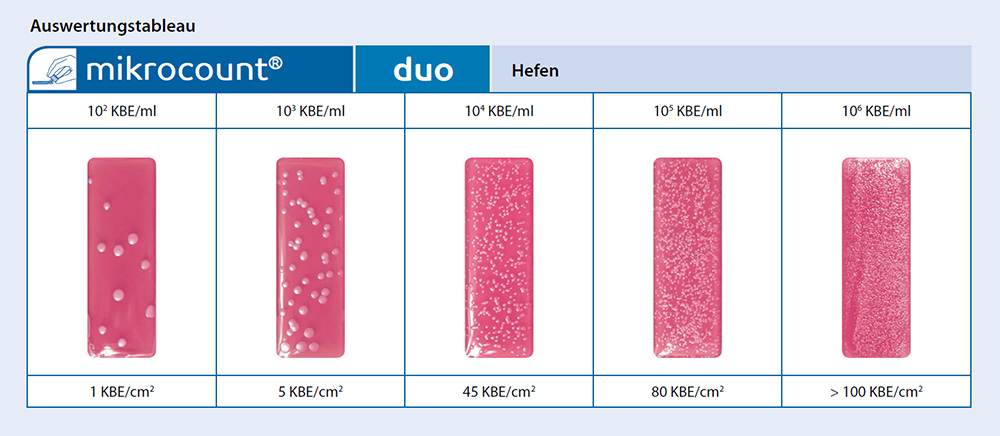 mikrocount duo Auswertungstableau Hefen